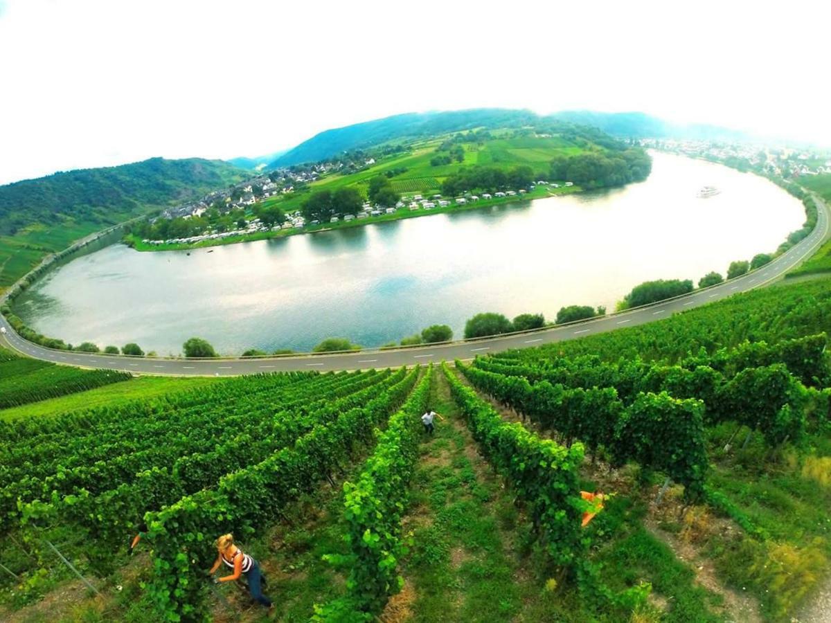 Appartamento Der Weinladen Kröv Esterno foto